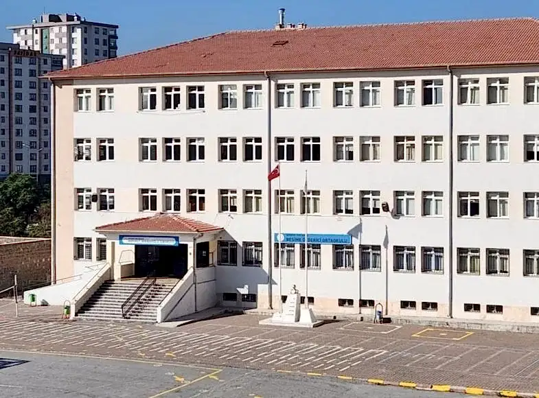 mehmet-miraboglu-ilkokulu